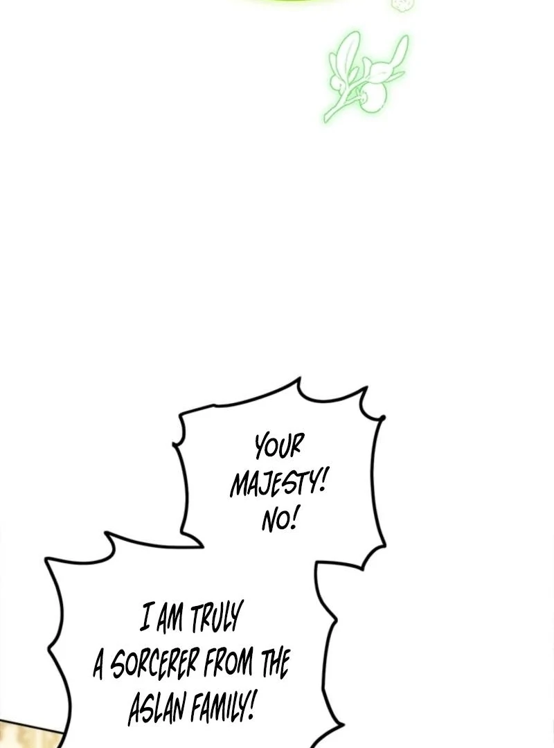 The Princess’s Double Life chapter 125 page 36