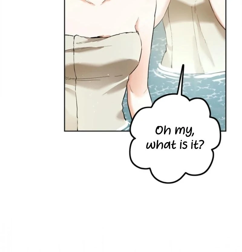 The Princess’s Double Life chapter 125 page 64