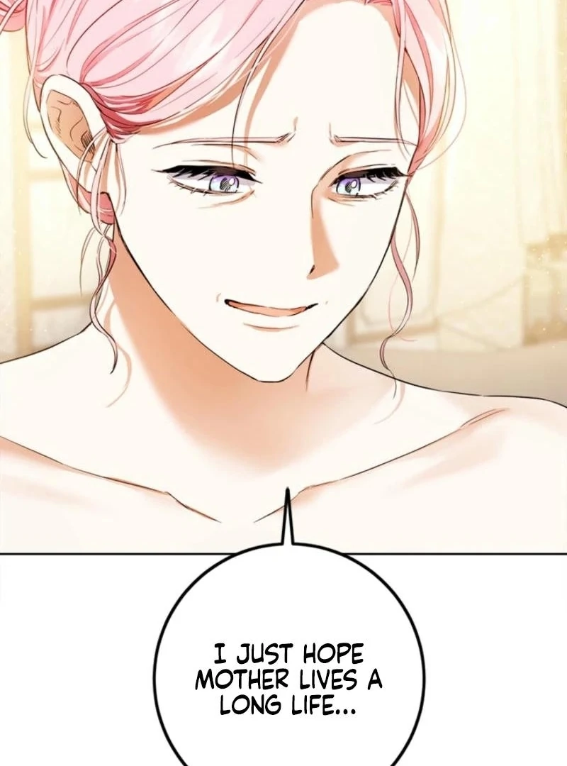 The Princess’s Double Life chapter 125 page 72