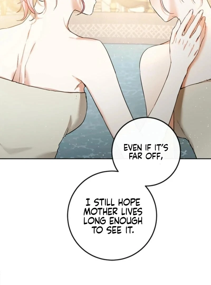 The Princess’s Double Life chapter 125 page 76
