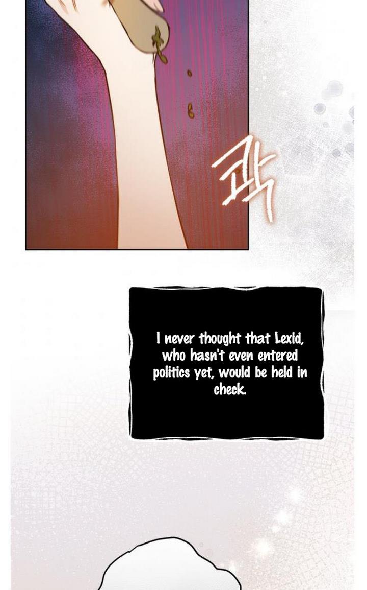 The Princess’s Double Life chapter 31 page 72