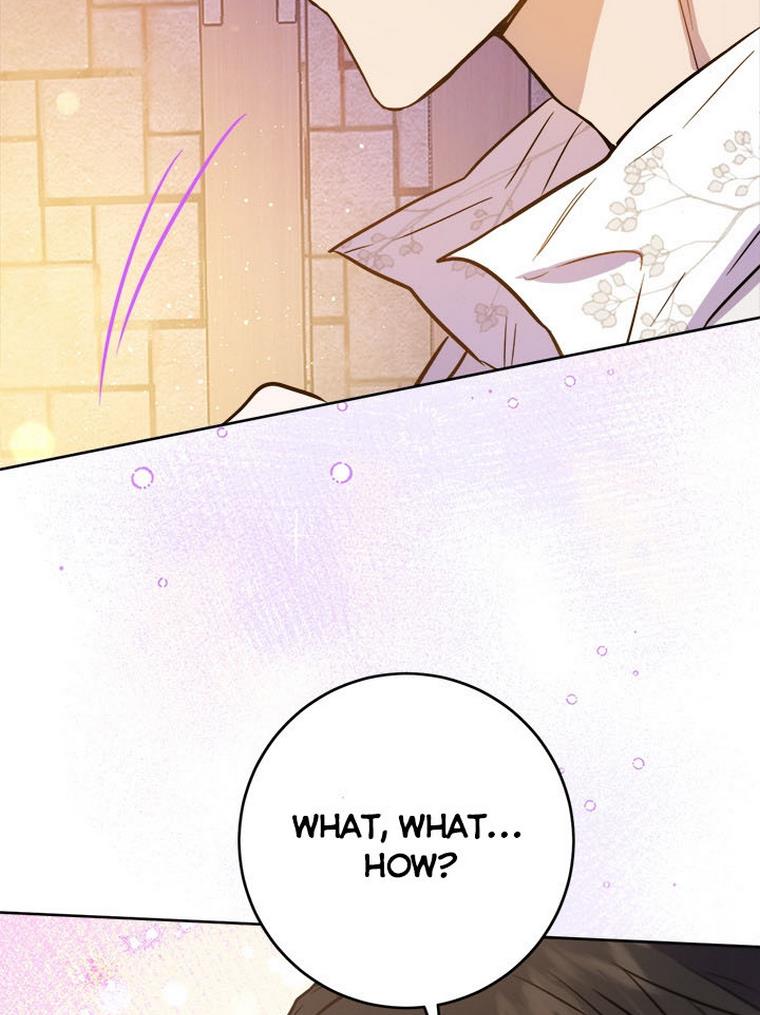 The Princess’s Double Life chapter 32 page 40