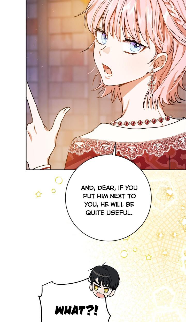 The Princess’s Double Life chapter 37 page 44