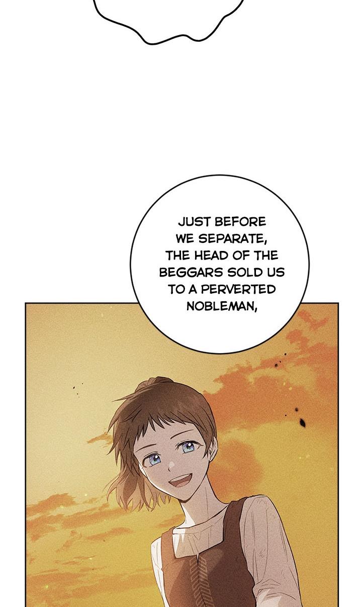 The Princess’s Double Life chapter 39 page 17
