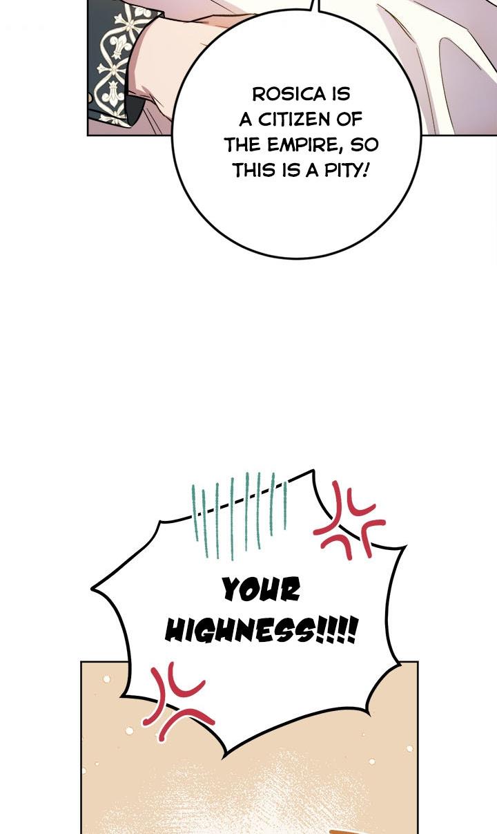 The Princess’s Double Life chapter 39 page 75