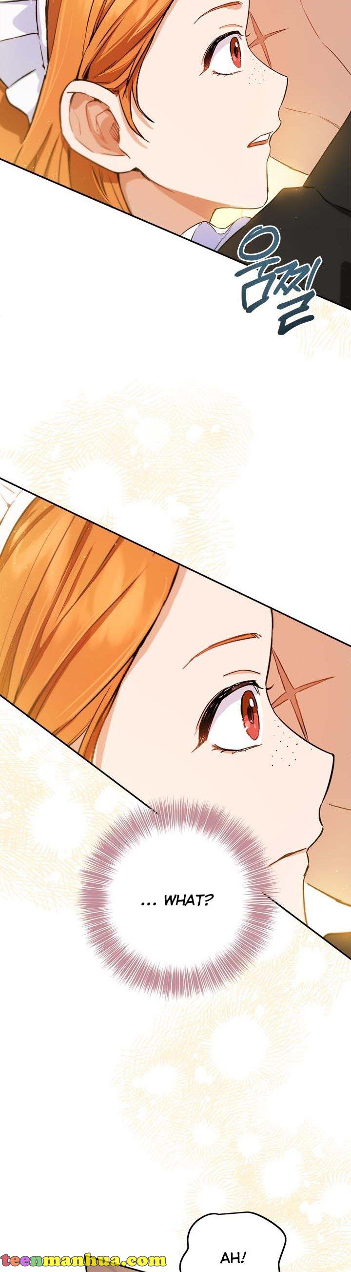 The Princess’s Double Life chapter 65 page 21