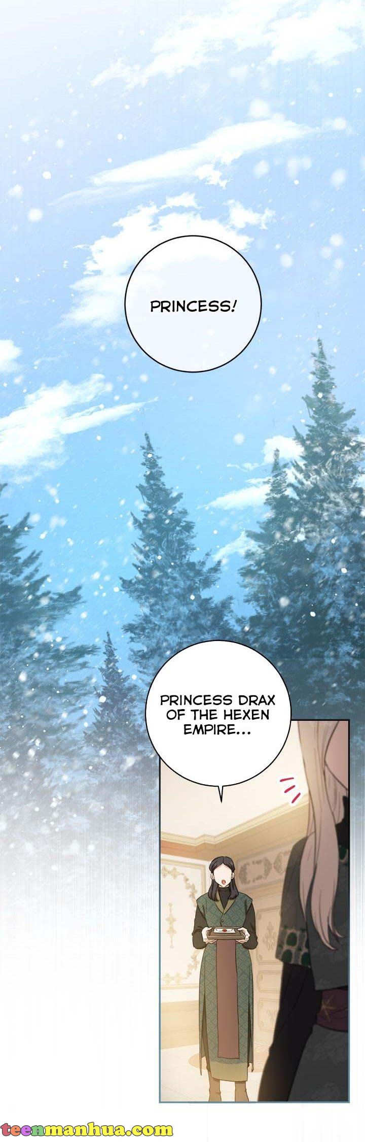 The Princess’s Double Life chapter 68 page 28