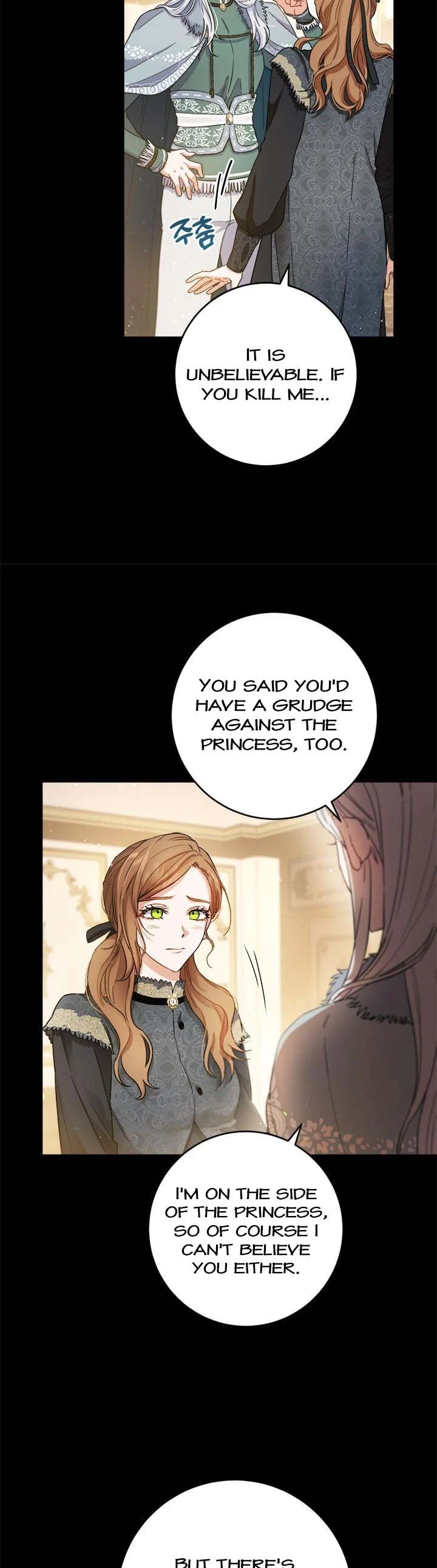 The Princess’s Double Life chapter 69 page 12