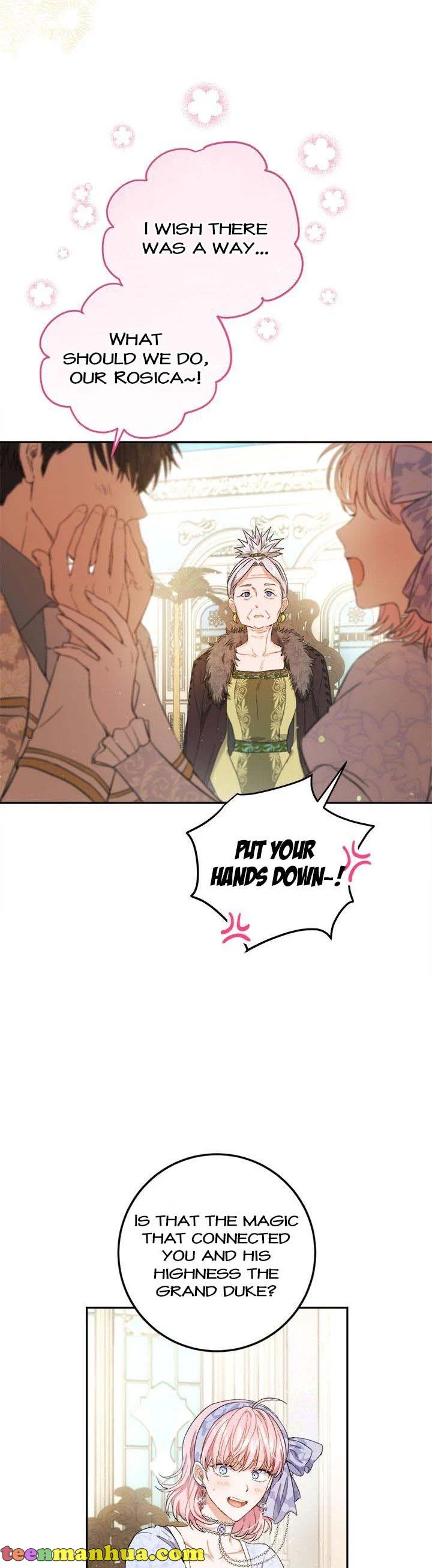The Princess’s Double Life chapter 70 page 3