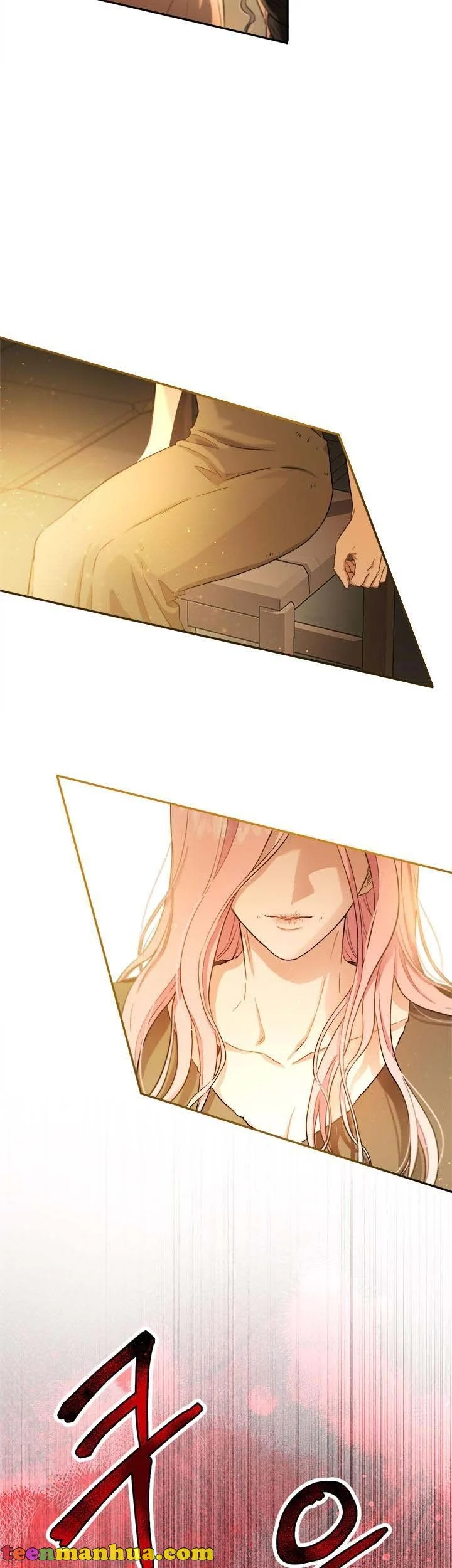 The Princess’s Double Life chapter 71 page 17