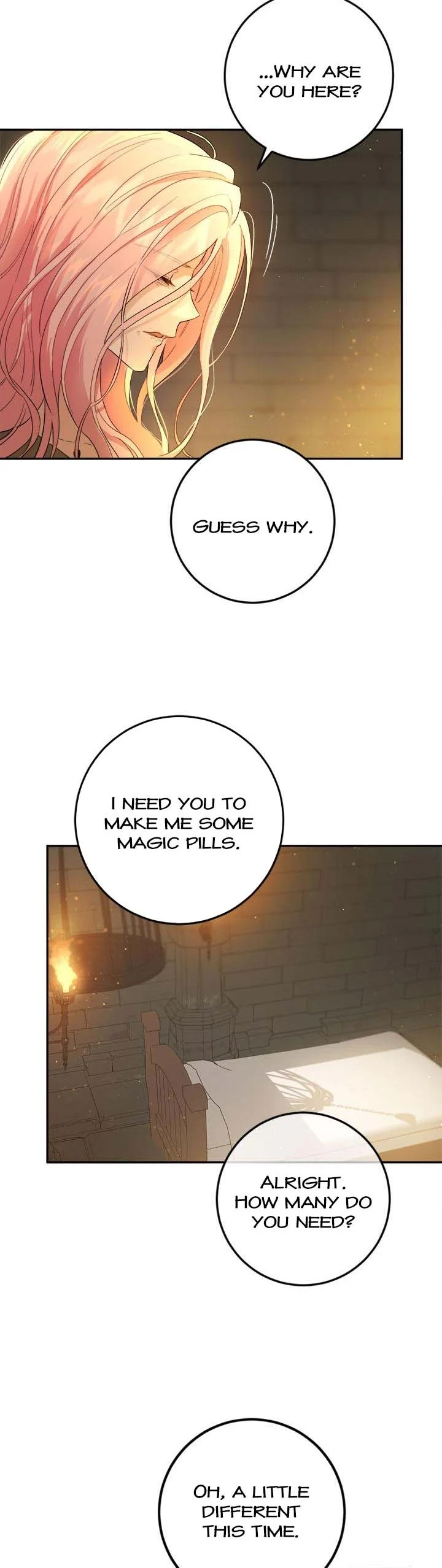 The Princess’s Double Life chapter 71 page 22