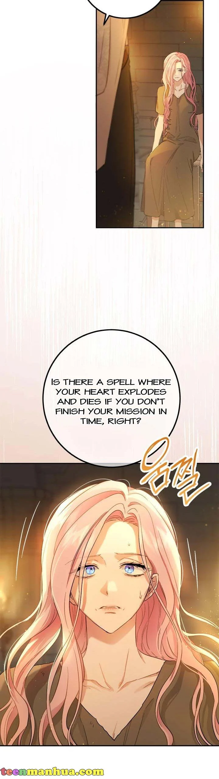 The Princess’s Double Life chapter 71 page 23