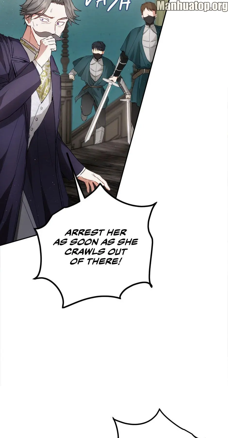 The Princess’s Double Life chapter 82 page 71