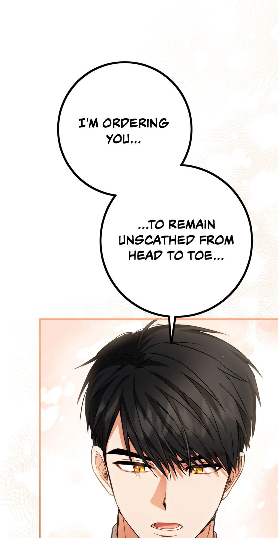 The Princess’s Double Life chapter 85 page 69