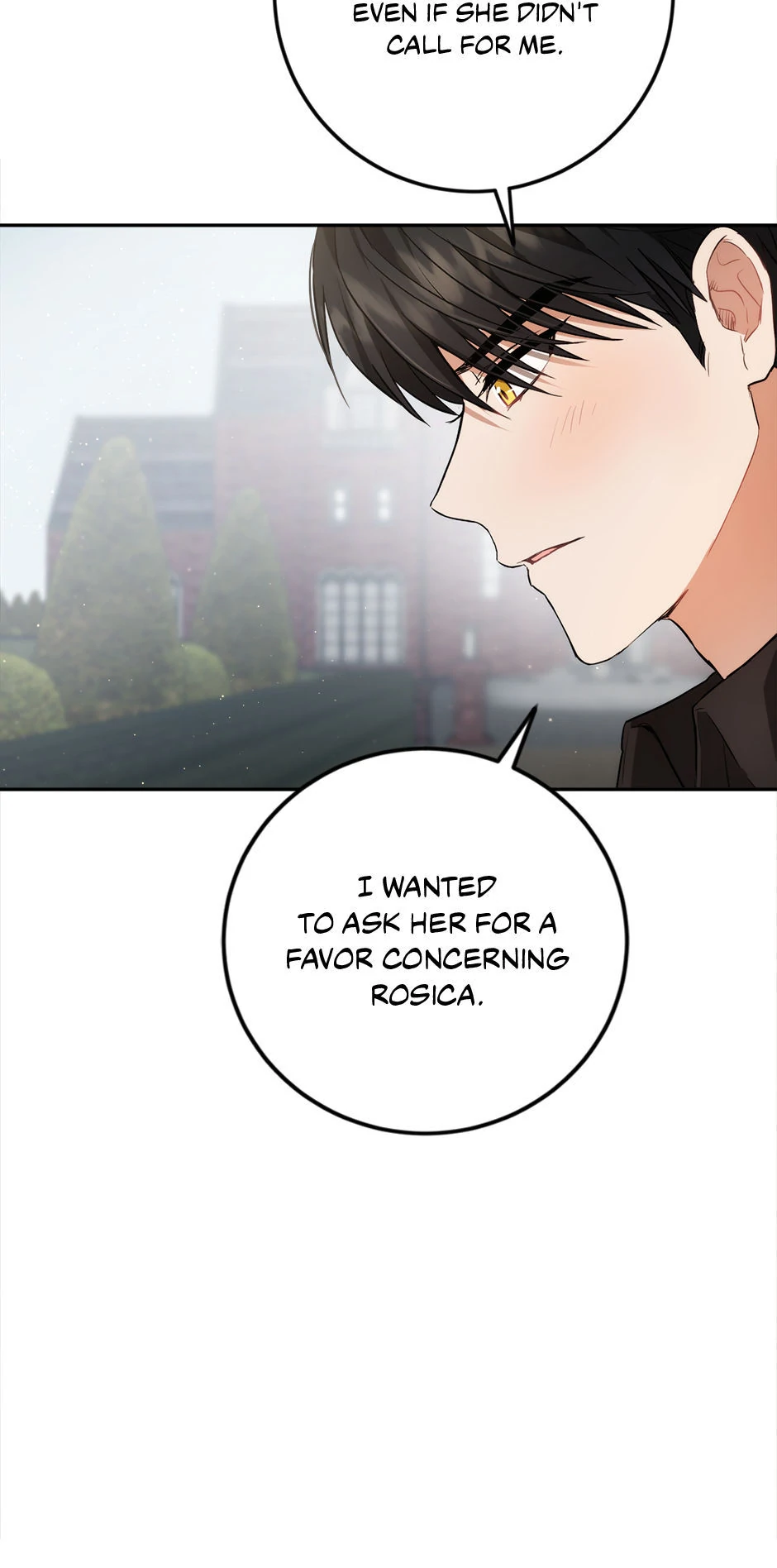 The Princess’s Double Life chapter 90 page 65