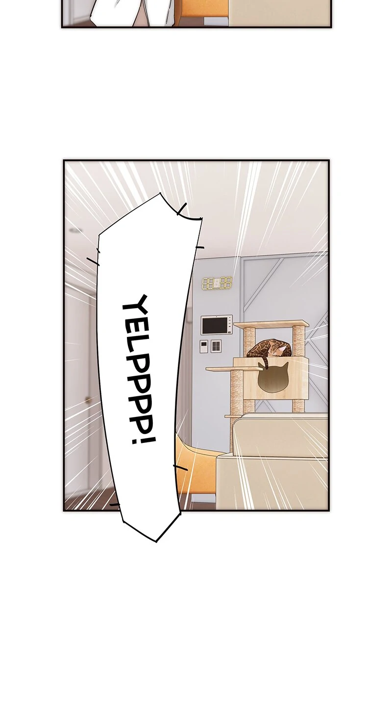 My Benefactor Is Not a Scholar chapter 11 page 14