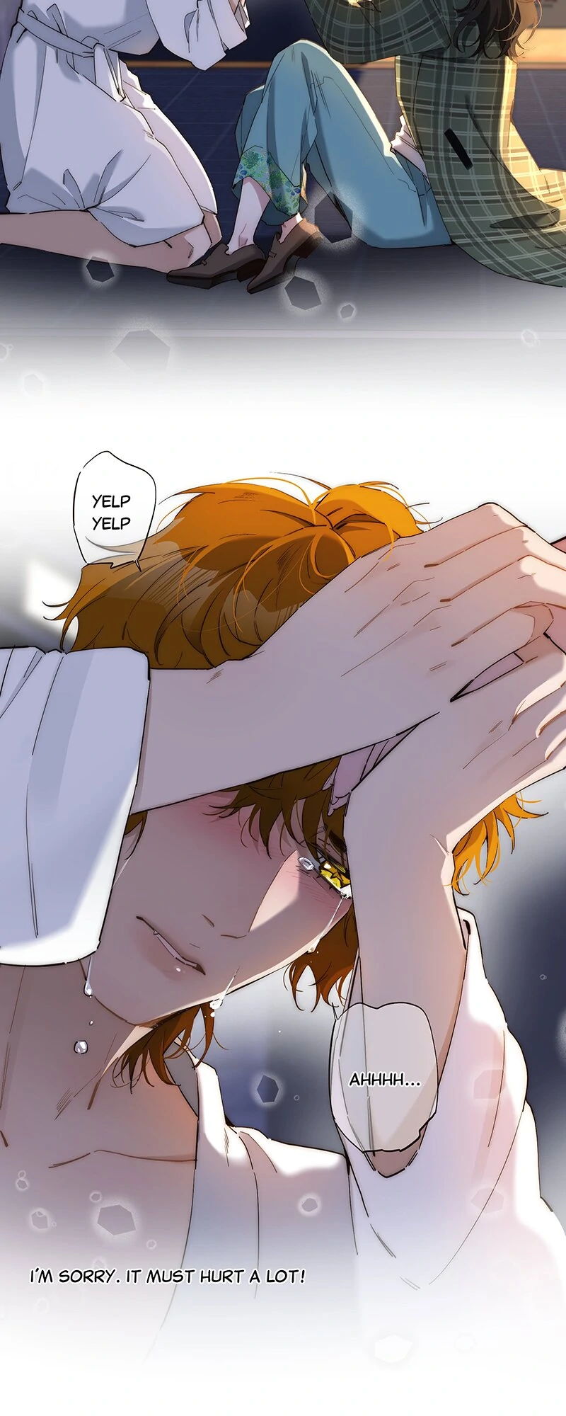 My Benefactor Is Not a Scholar chapter 12 page 5