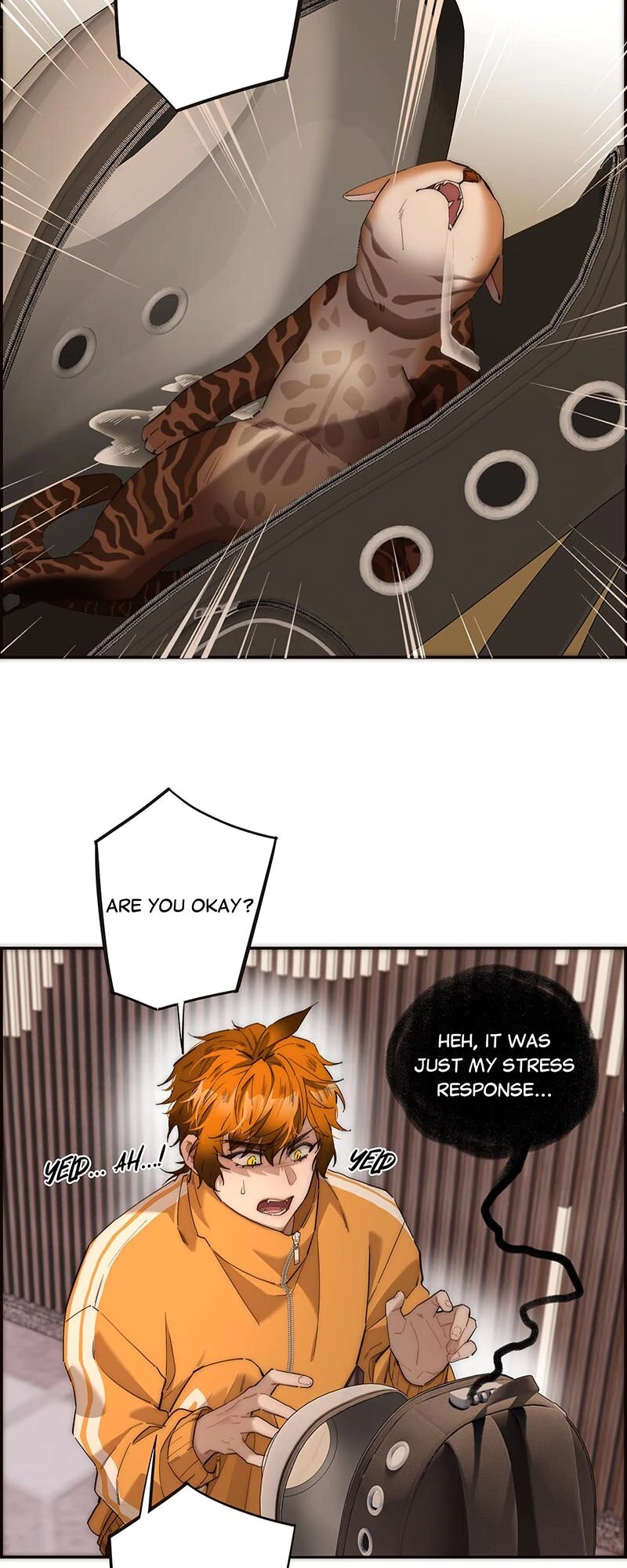 My Benefactor Is Not a Scholar chapter 14 page 11