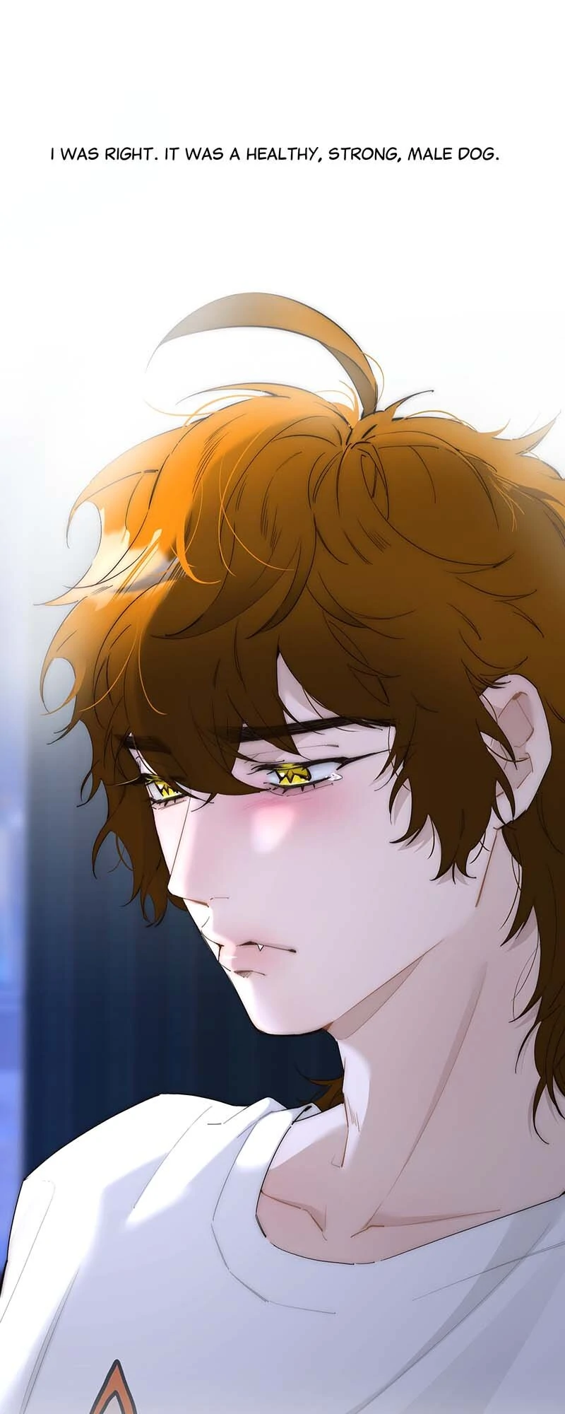 My Benefactor Is Not a Scholar chapter 48 page 19