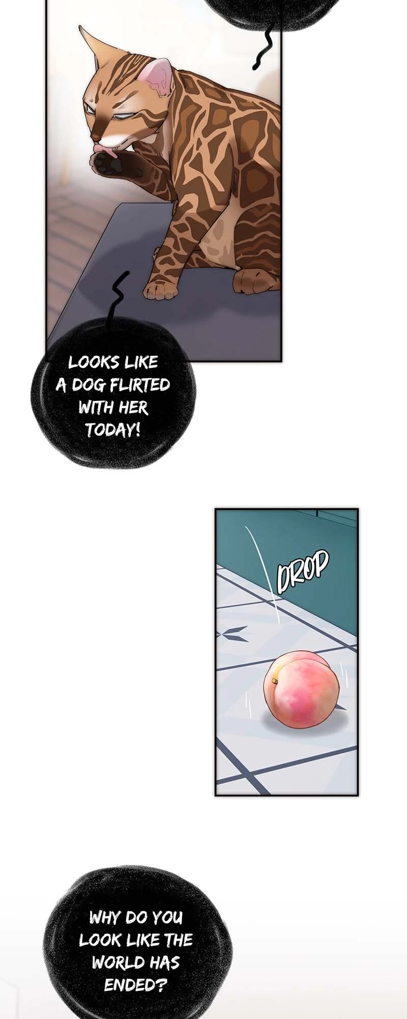 My Benefactor Is Not a Scholar chapter 48 page 5