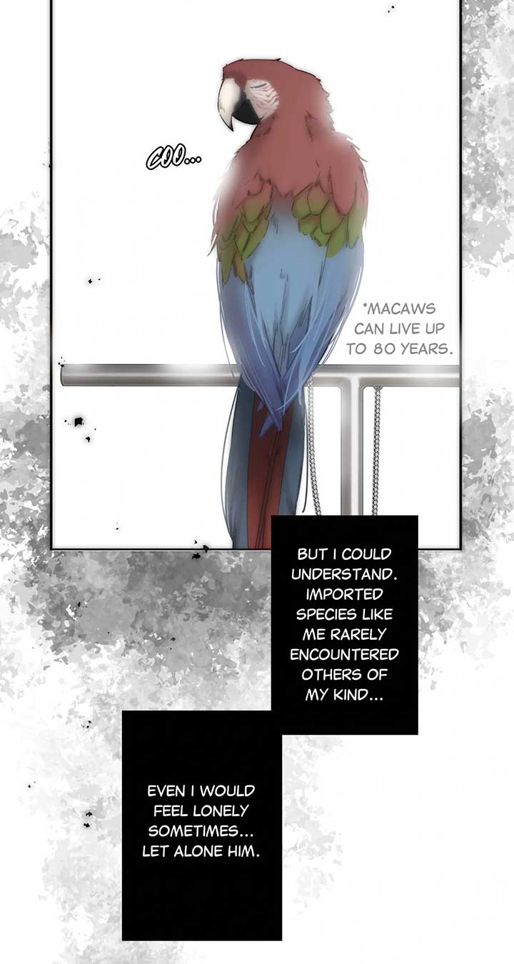 My Benefactor Is Not a Scholar chapter 69 page 9