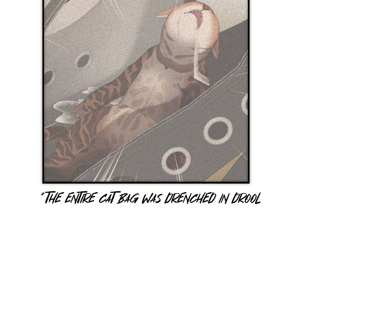 My Benefactor Is Not a Scholar chapter 71 page 28