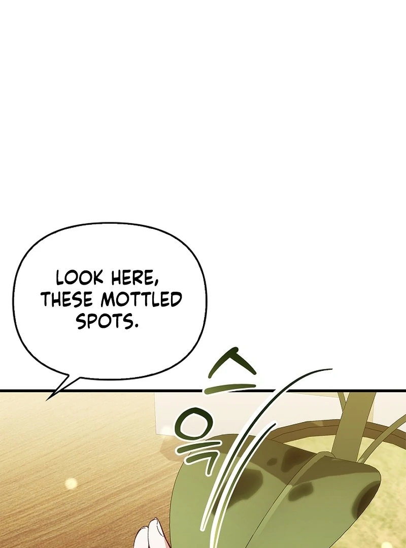The Back-Alley Mage’s Return chapter 17 page 120