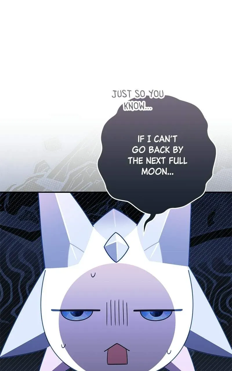 Summer Moon: The Cuprids chapter 40 page 9