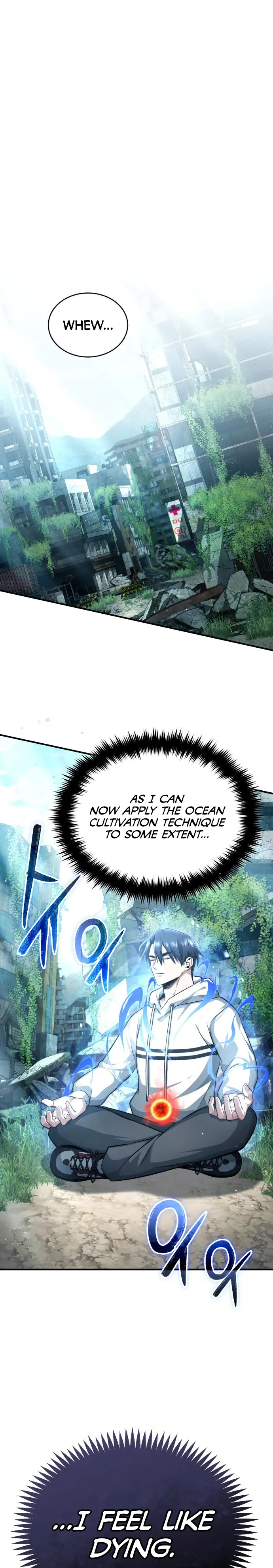 Regressor’s Life After Retirement chapter 7 page 1