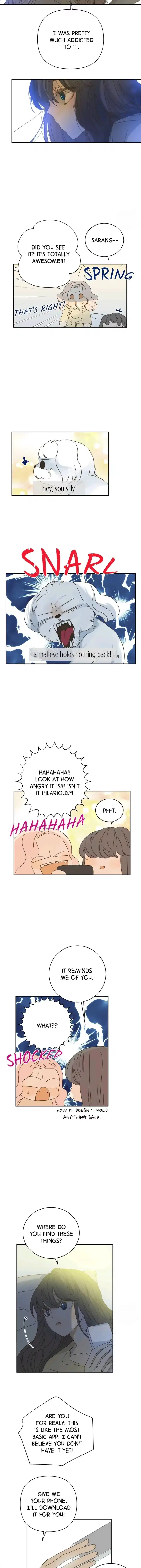 Girl with a Knife chapter 86 page 7