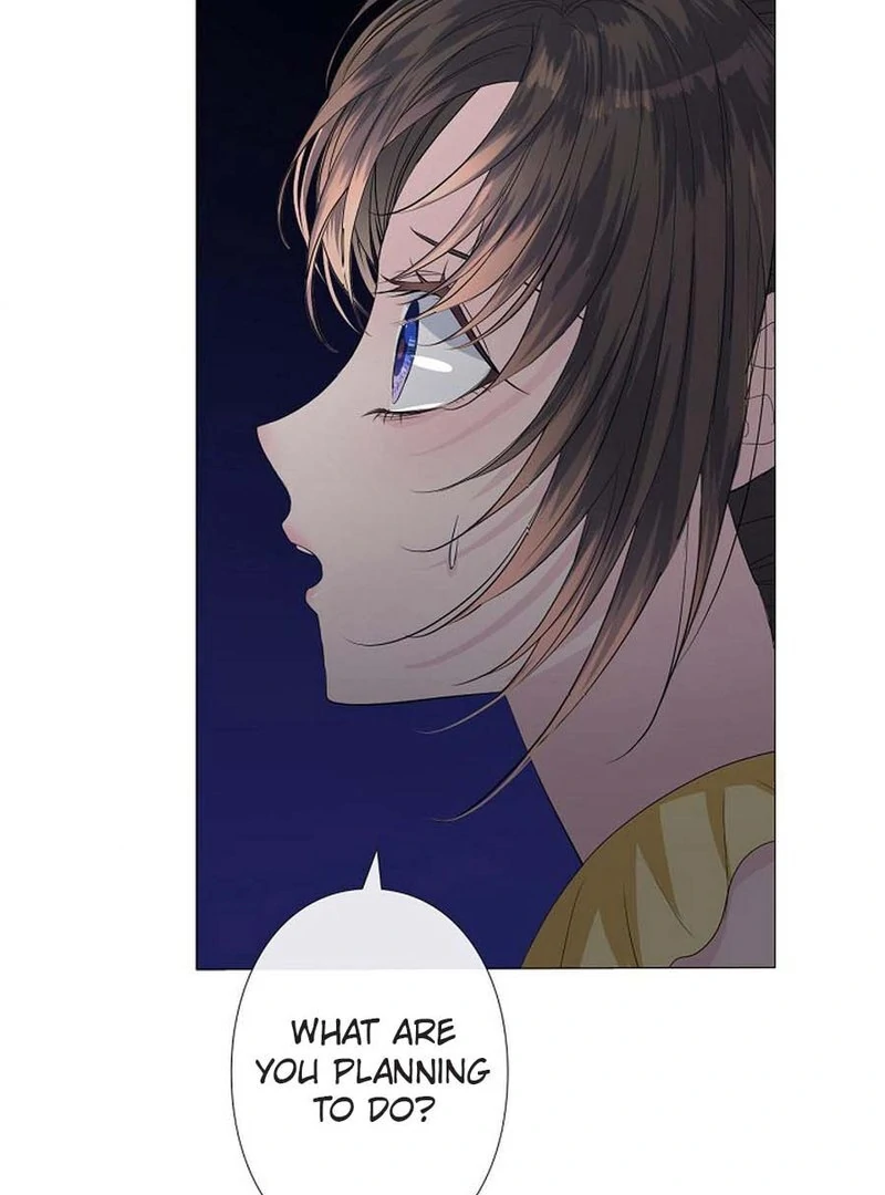 The Path Of The Briars In The Moonlight chapter 9 page 3