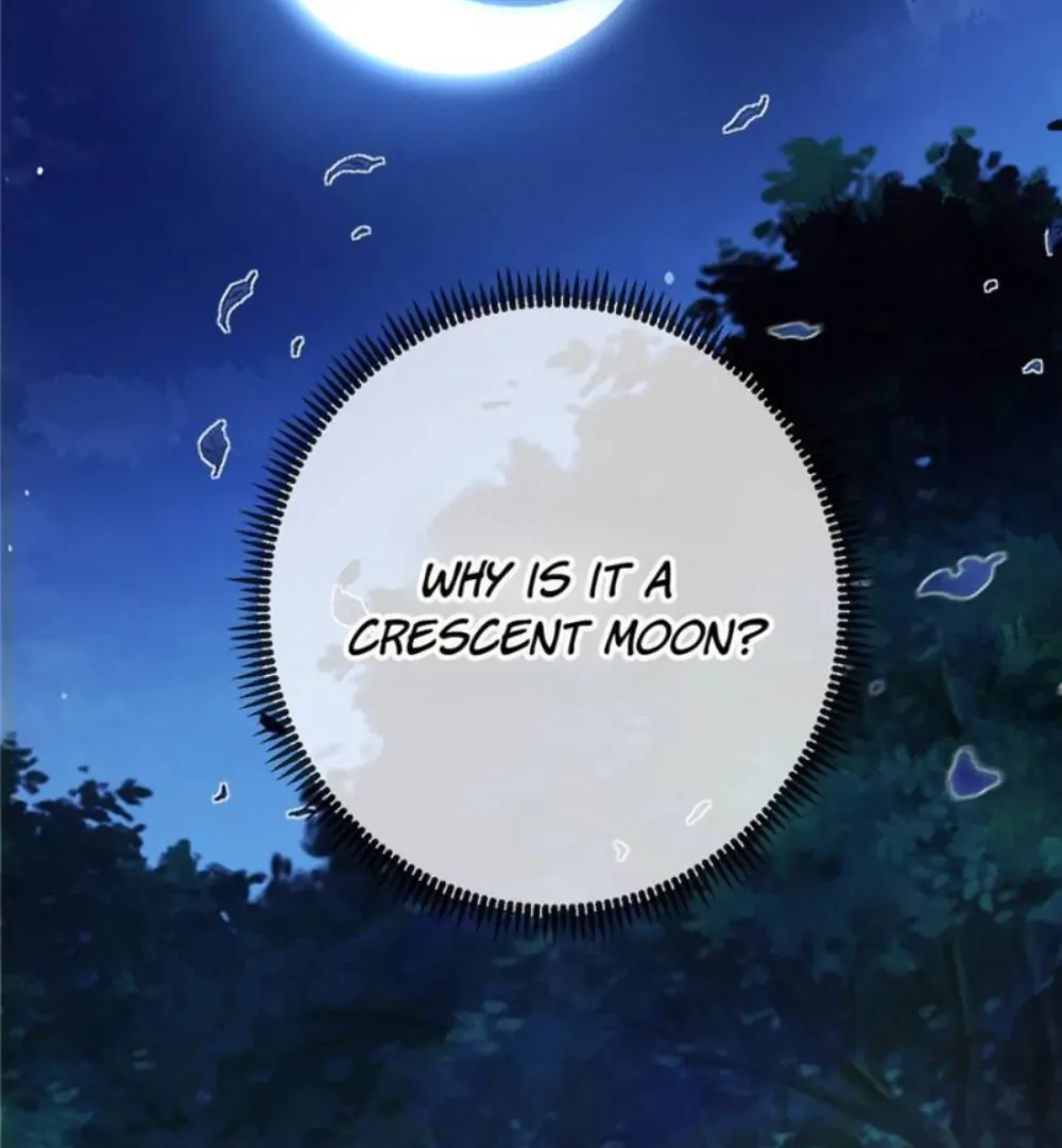 Love Under the Full Moon chapter 1 page 46