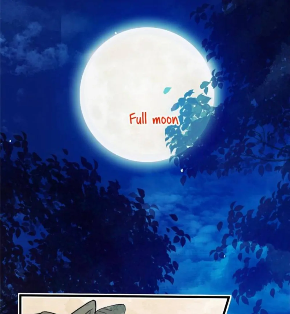 Love Under the Full Moon chapter 4 page 71