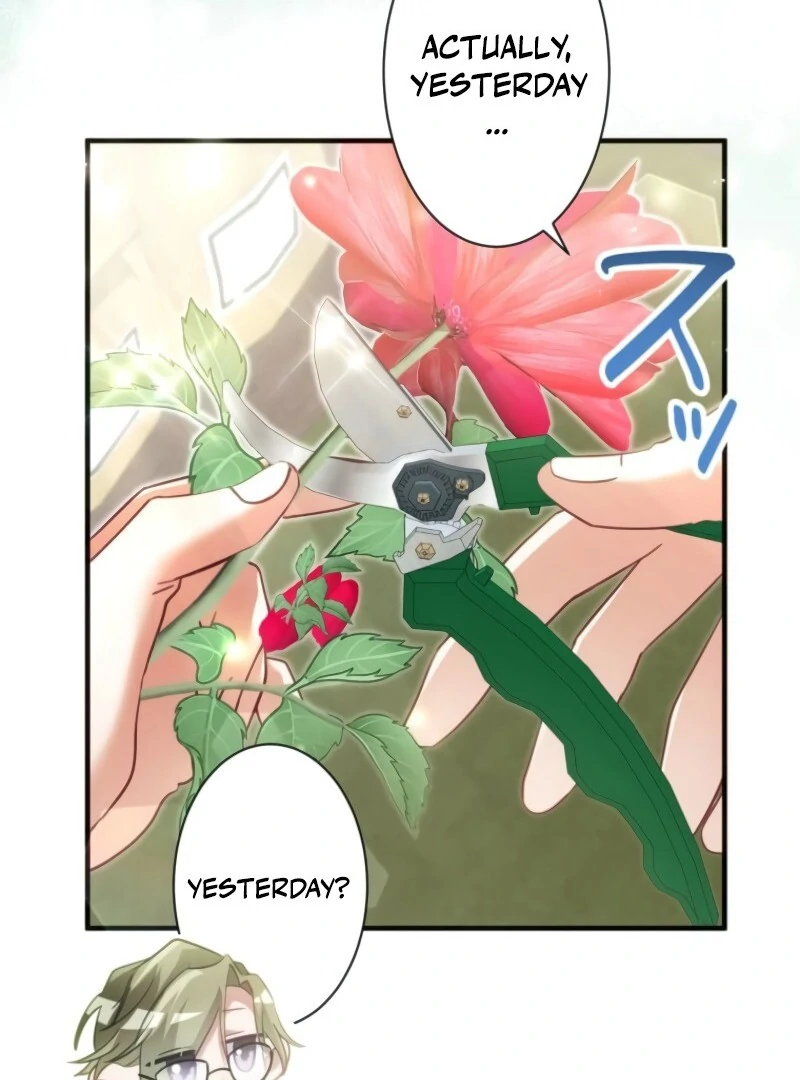 I Committed a One-Night Mistake with the Young Lady? chapter 19 page 73