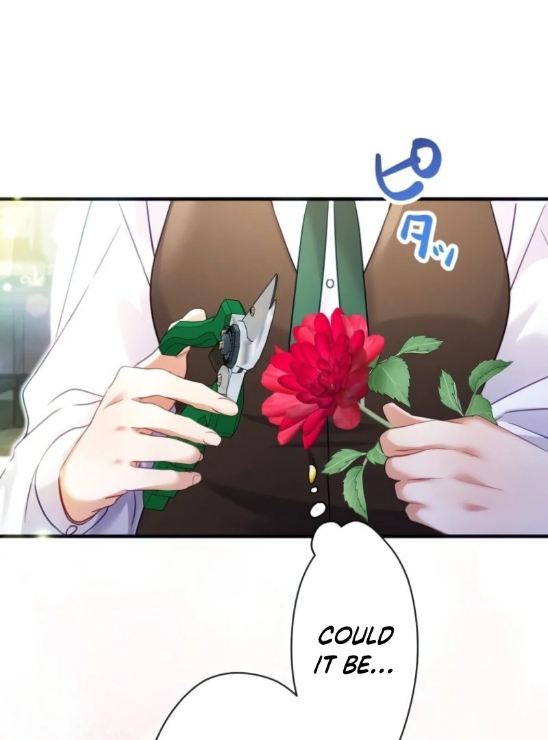 I Committed a One-Night Mistake with the Young Lady? chapter 19 page 78