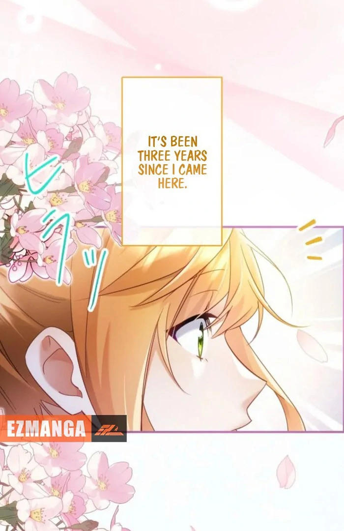 I Committed a One-Night Mistake with the Young Lady? chapter 24 page 12