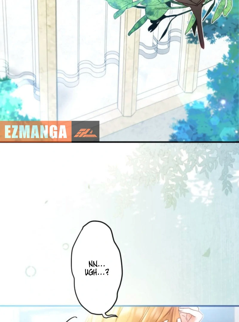 I Committed a One-Night Mistake with the Young Lady? chapter 26 page 14