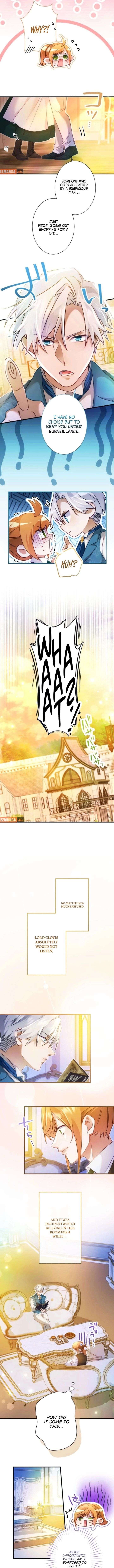 I Committed a One-Night Mistake with the Young Lady? chapter 39 page 7