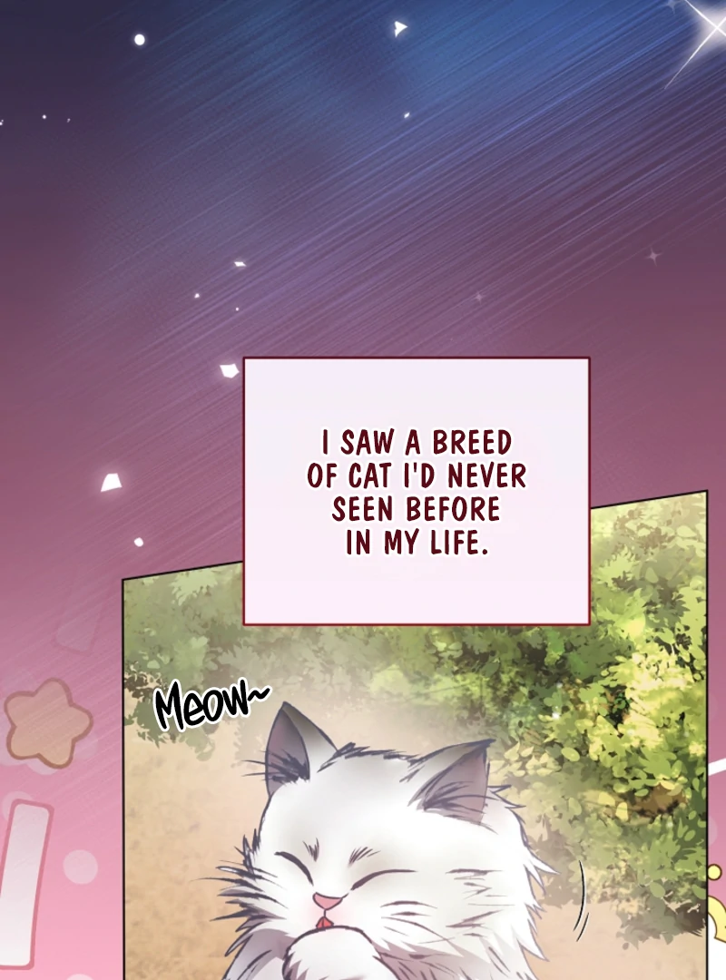 The Black-Haired Dad Is Not Reaping chapter 25 page 11