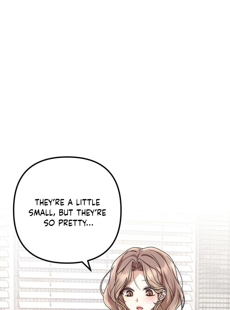 Office Contract Relationship chapter 5 page 72