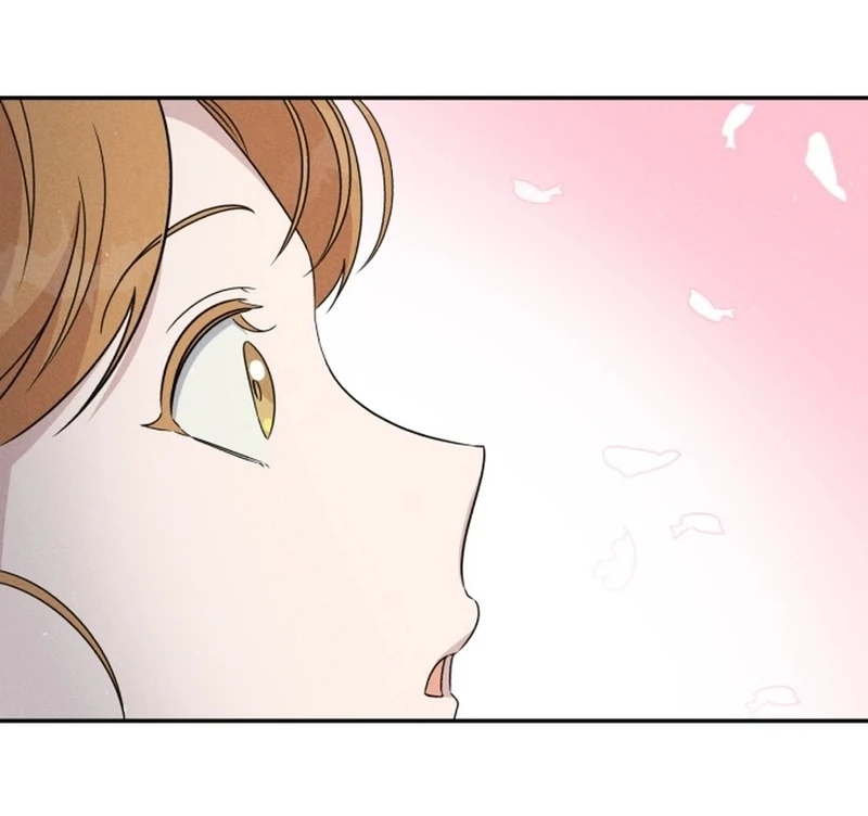 For the 1st Place chapter 1 page 14