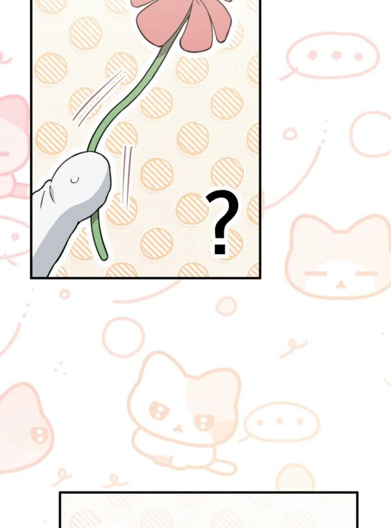 Face Genius, 0-Year-Old Top Star chapter 9 page 71