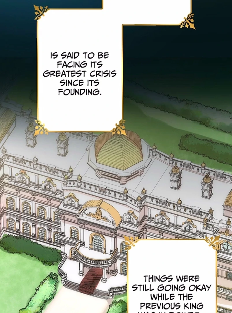 Your Majesty the King, I Will Educate You chapter 1 page 47