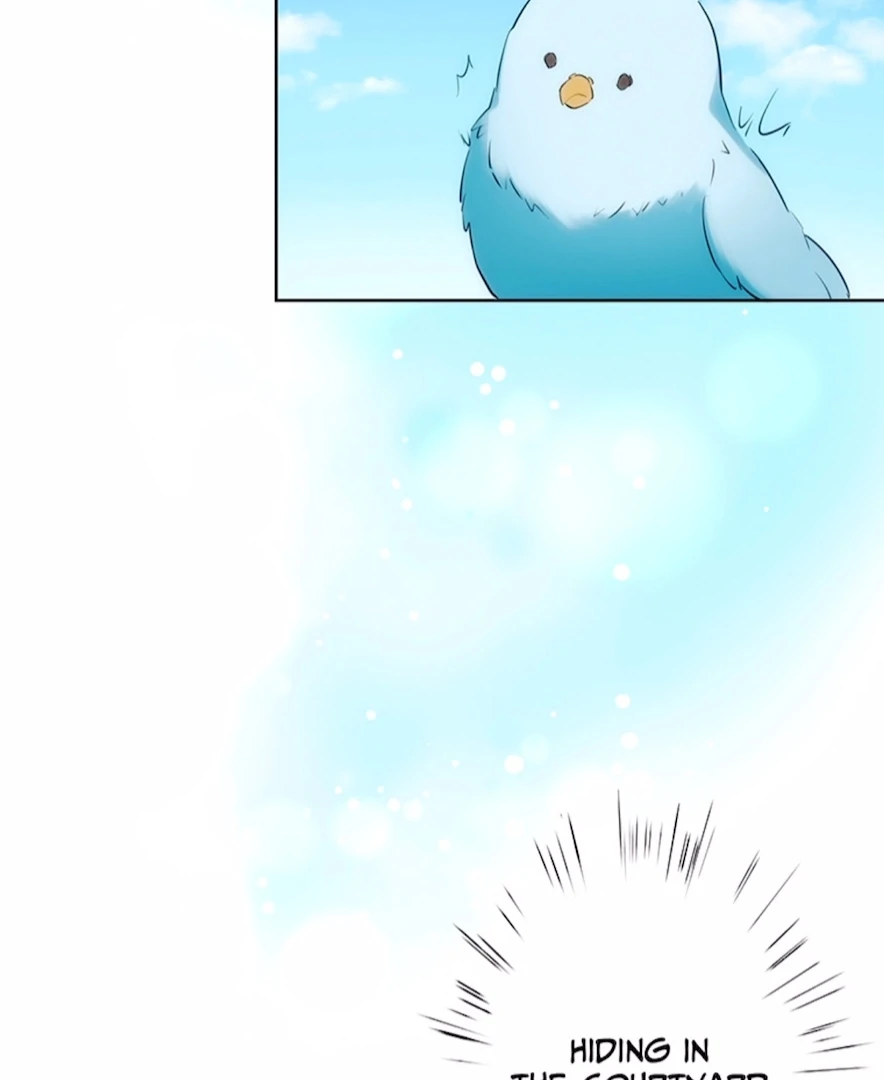 Your Majesty the King, I Will Educate You chapter 14 page 65