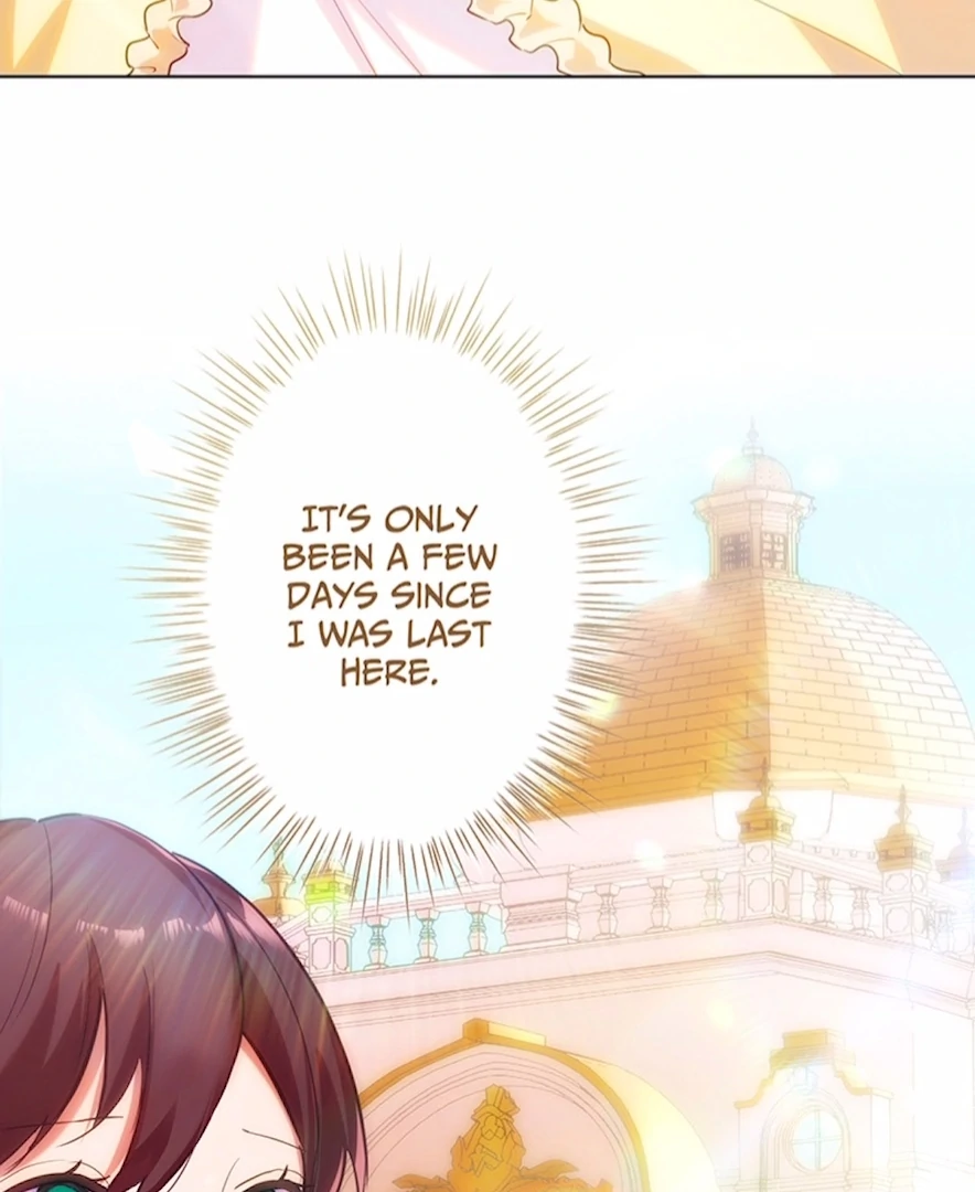 Your Majesty the King, I Will Educate You chapter 28 page 14