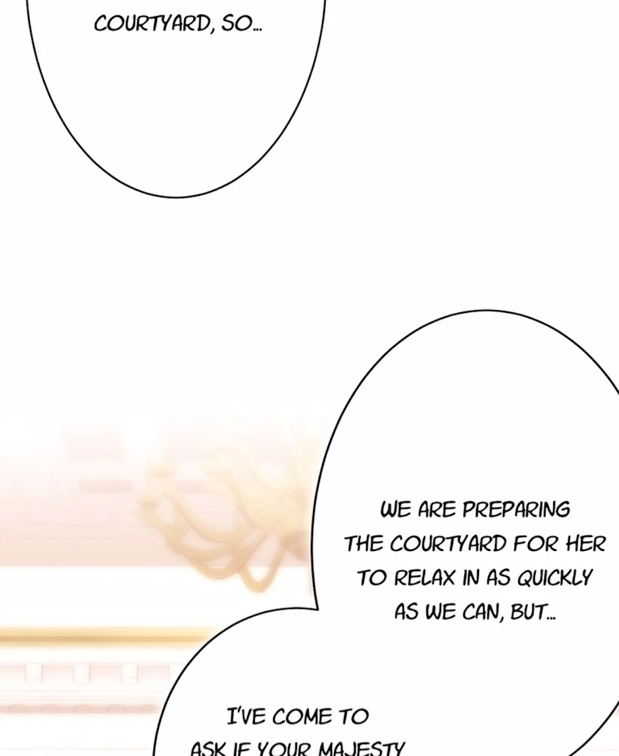 Your Majesty the King, I Will Educate You chapter 34 page 12