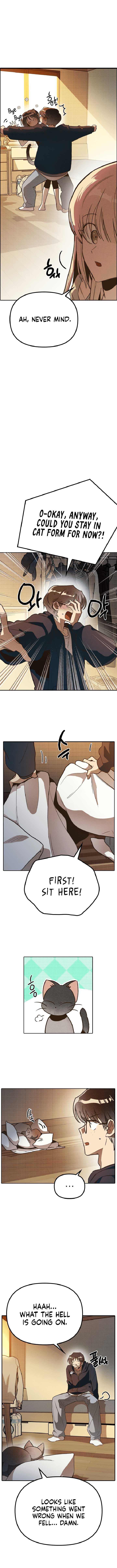 Twelve Zodiac Girls chapter 2 page 6
