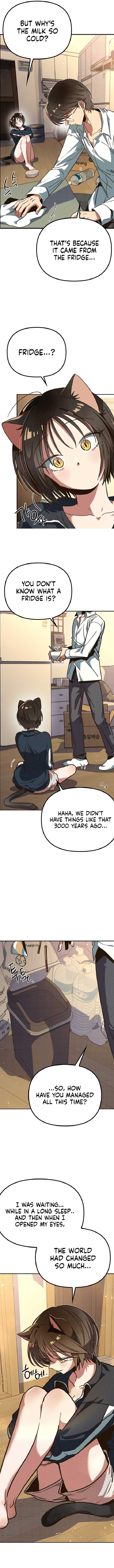 Twelve Zodiac Girls chapter 4 page 16