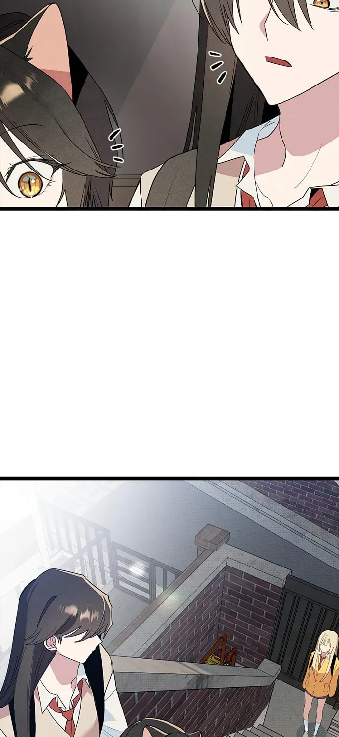Twelve Zodiac Girls chapter 49 page 50