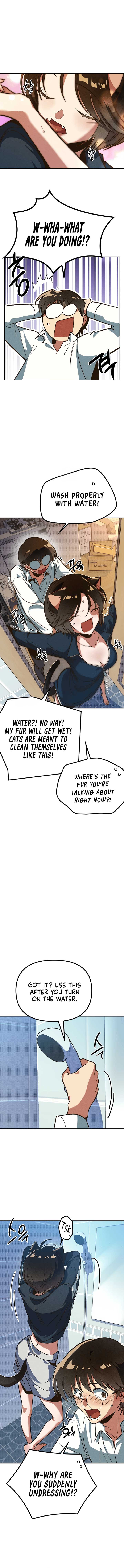 Twelve Zodiac Girls chapter 5 page 2